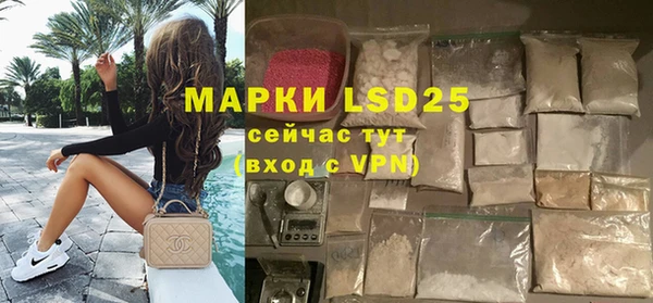 mdpv Бородино
