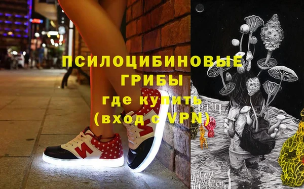 mdpv Бородино
