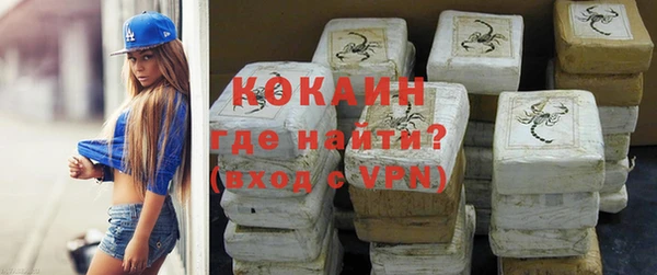mdpv Бородино