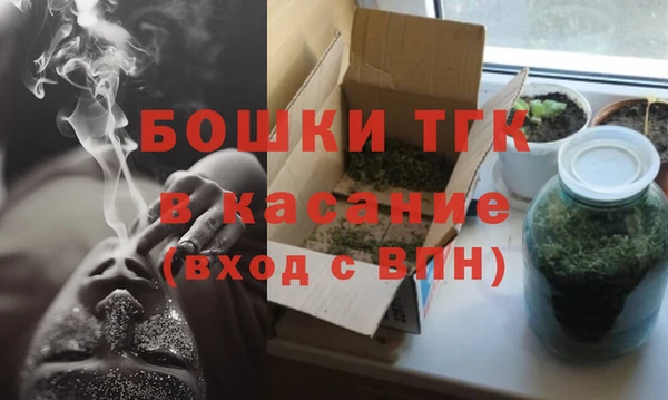 mdpv Бородино